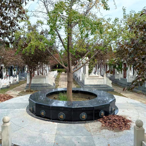 天津市北辰区憩园公墓生态葬树葬墓型2号