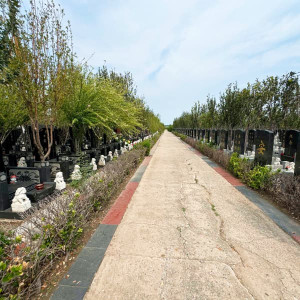 天津市北辰区憩园公墓传统立碑墓型8号