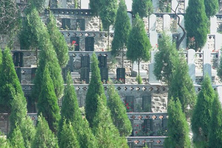 天津市滨海新区塘沽梦境园墓区环境图