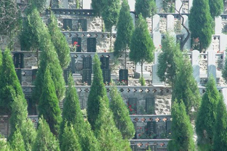 天津市滨海新区塘沽梦境园墓区环境图