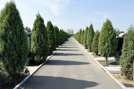 天津市北辰区天福陵园墓区环境图