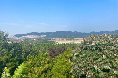 灵山宝塔陵园景观图