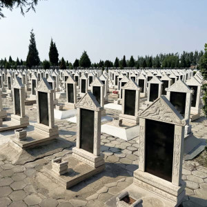 上海市津南区怡静园传统立碑墓型5号