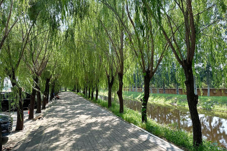 兰生园公墓景观图