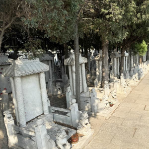上海市津南区怡静园传统立碑墓型6号