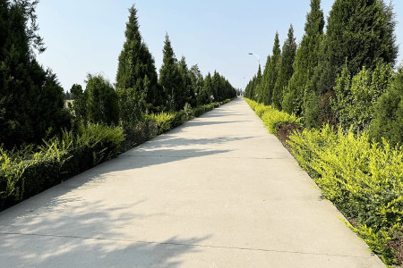 上海市津南区怡静园园区环境图