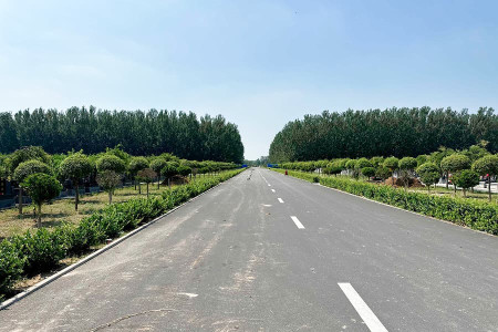 兰生园公墓景观图