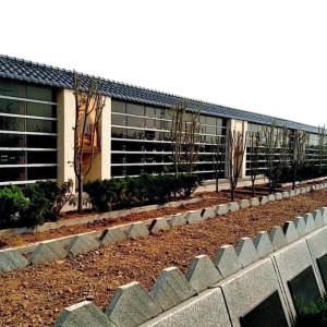 上海市滨海新区汉沽逸安园传统壁葬墓型3号