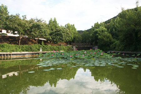 元宝山庄生命纪念园景观图