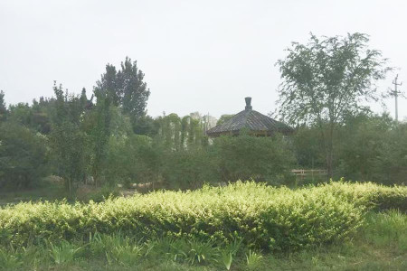 德慈塔陵景观图