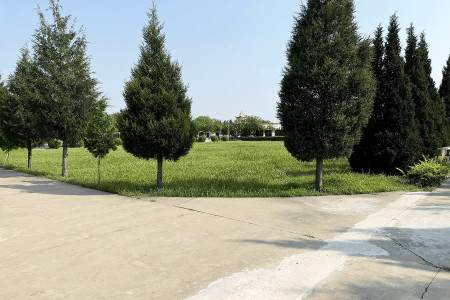 上海市津南区怡静园园区环境图