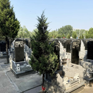 上海市津南区怡静园传统立碑墓型1号
