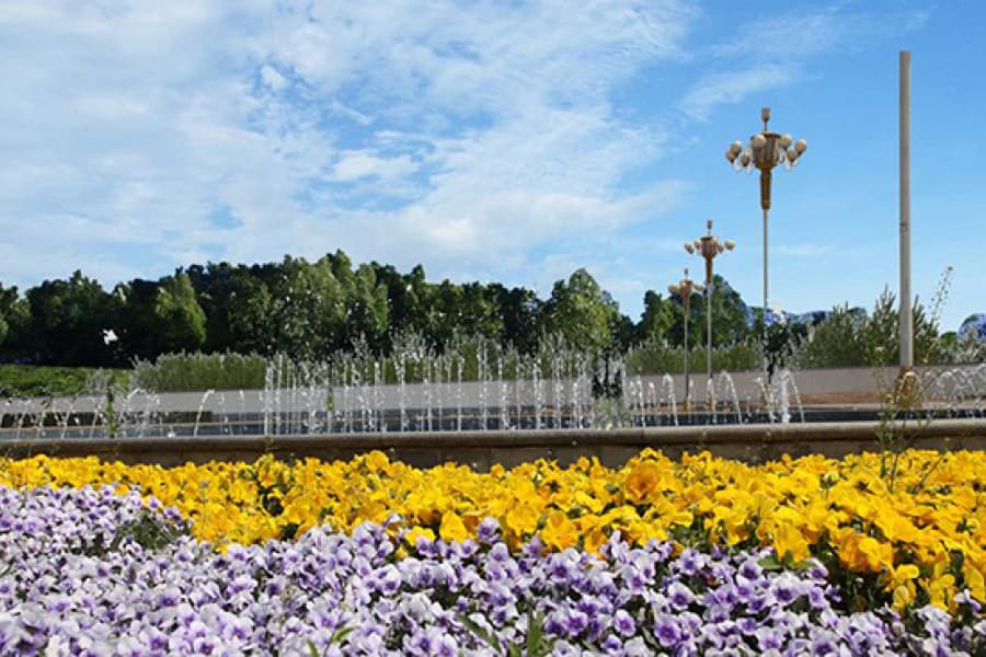上海市滨海新区大港万寿园公墓园区景观图