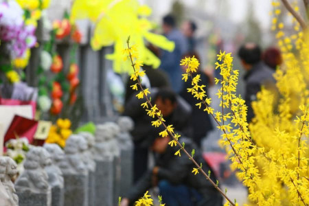 天津公墓的祭祀烧纸规定