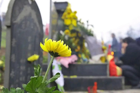 天津公墓平台环保祭祀倡议